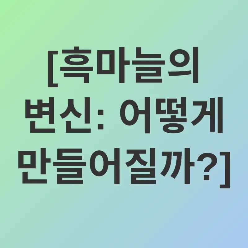 흑마늘 효능_1