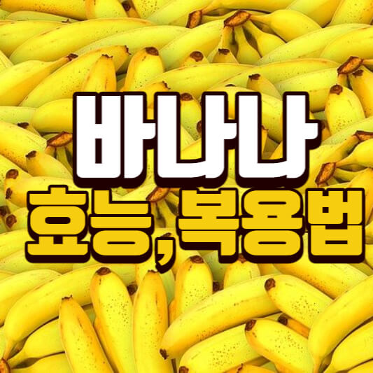  바나나 효능 7가지와 보관법 부작용 정리
