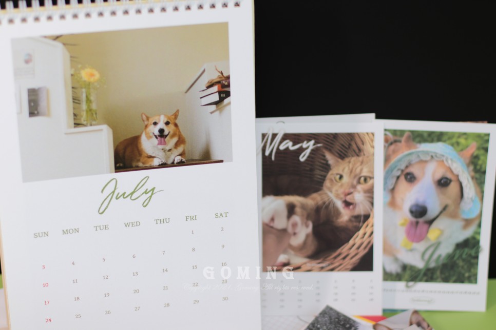 백호랑이 주문, 이웃집의 죽도록 사랑해!!!! 14