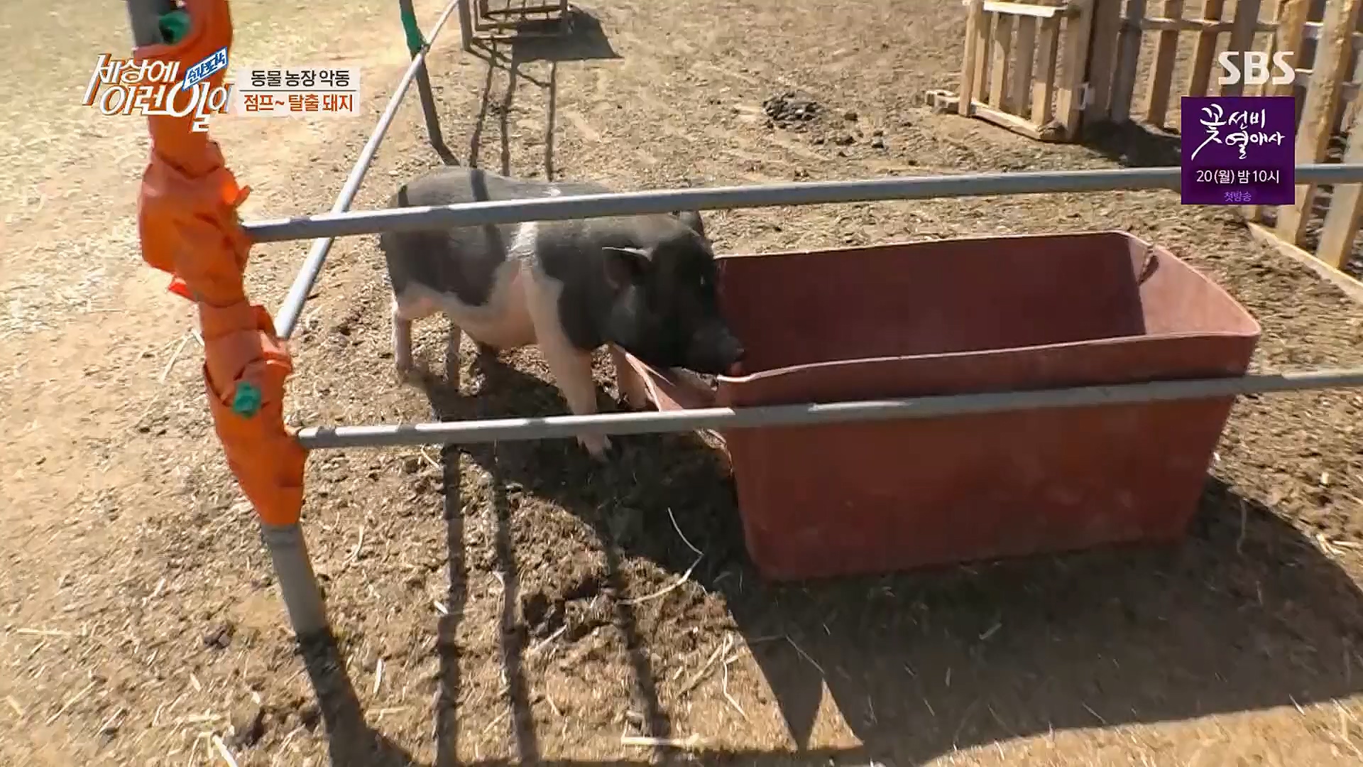 순간포착 세상에 이런일이.E1221.230314p.H264-F1RST.mp4_20230315_141009.371.jpg