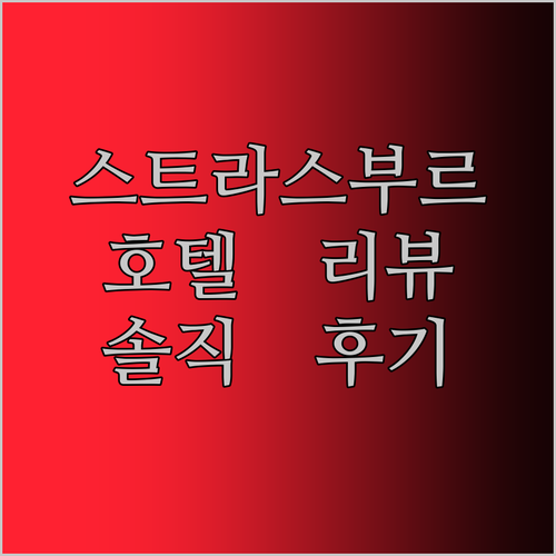 내돈내산 스트라스부르 호텔 리뷰! 솔