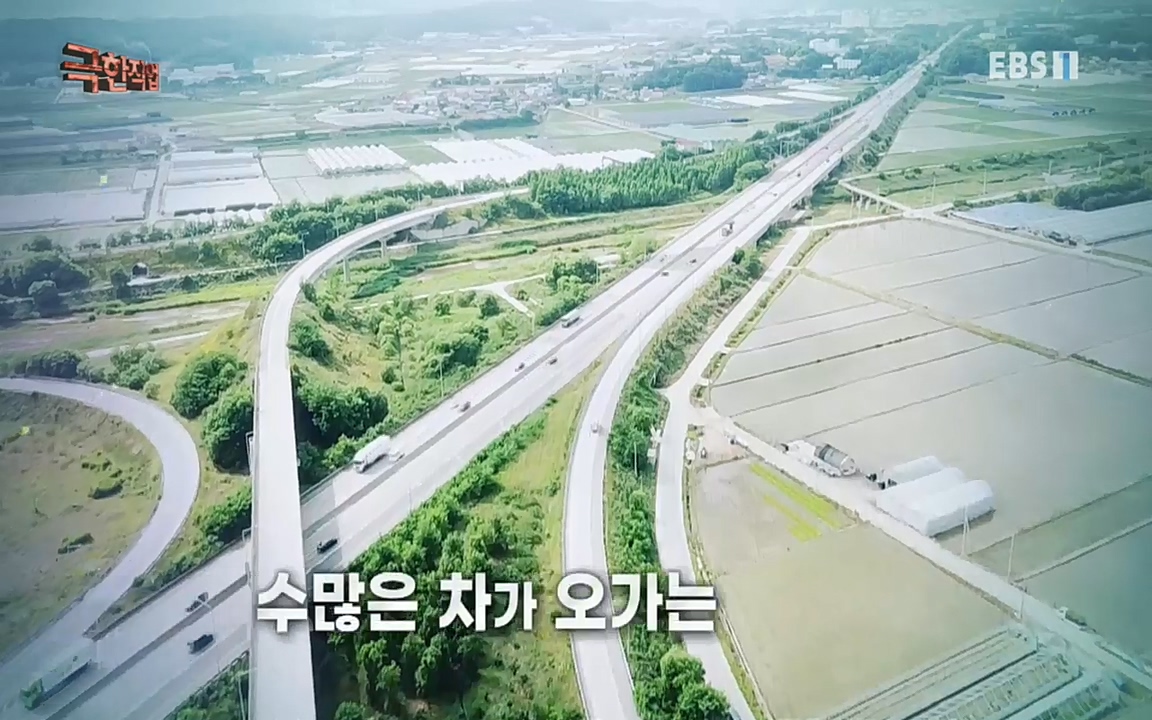 TV - 교육의 중심 EBS도로 위 안전을 사수하라! 교통경찰 24시.mp4_20220713_165859.758.jpg