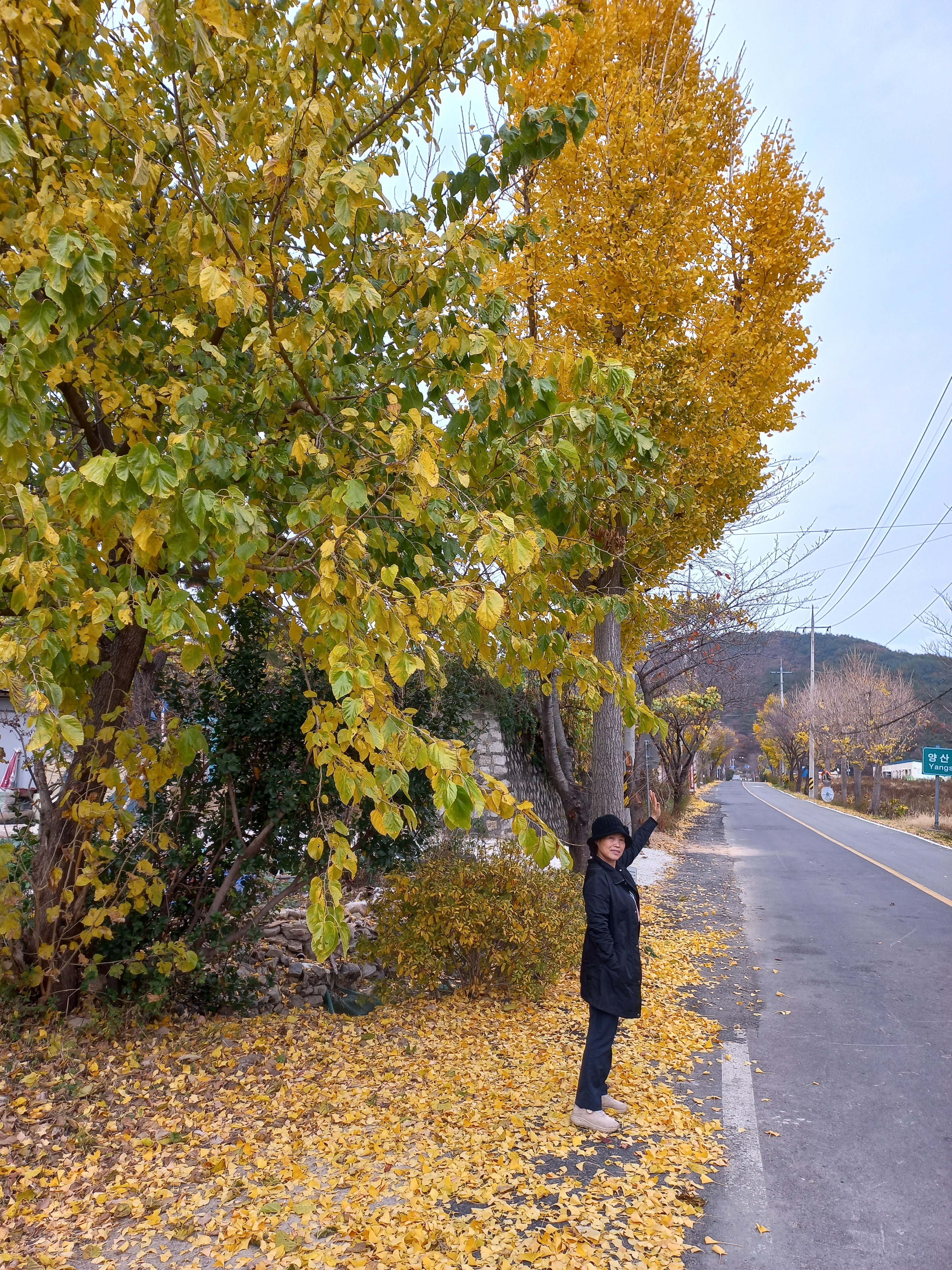 나드리국수와전 이미지