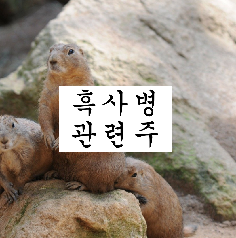  흑사병 페스트 관련주