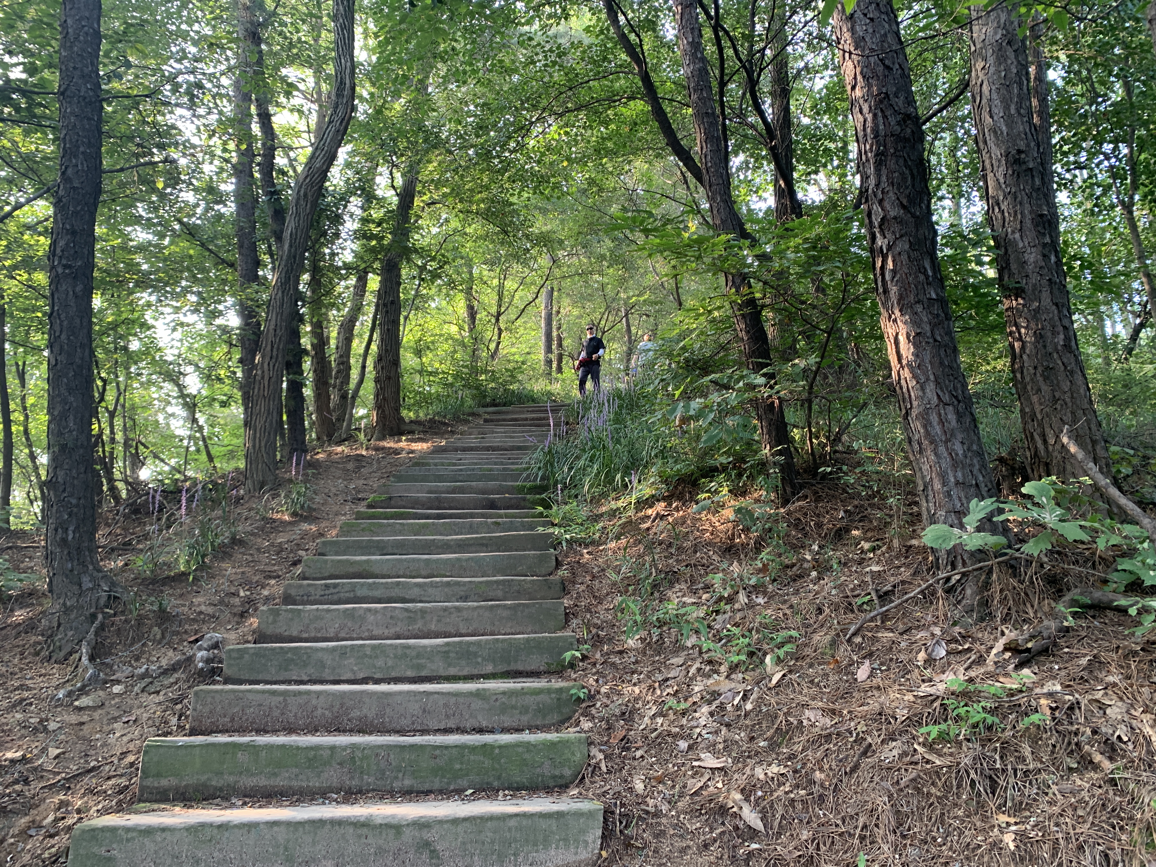 남산_계단길