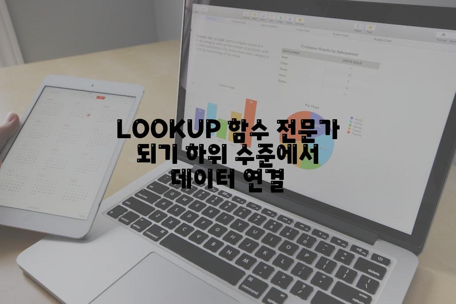 LOOKUP 함수 전문가 되기 하위 수준에서 데이터 연결