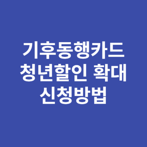 기후동행카드 청년할인