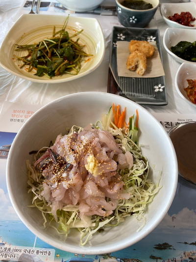-영진해변,영진횟집,바우카페, 파인힐 애견펜션,속초중앙시장 설연휴 분홍이와의 여행 36