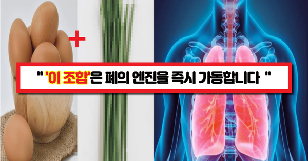  "폐는 반드시 식단으로 관리해야 합니다." 폐 전문의만의 폐를 500% 활성화시켜주는 달걀 레시피 4가지
