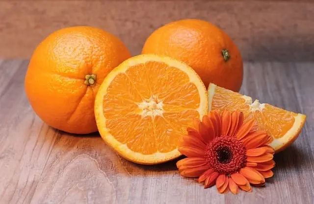 차전자피 식이섬유 많은 오렌지
