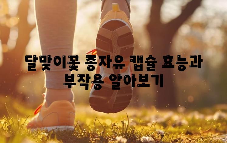 달맞이꽃 종자유 캡슐 효능과 부작용 알아보기