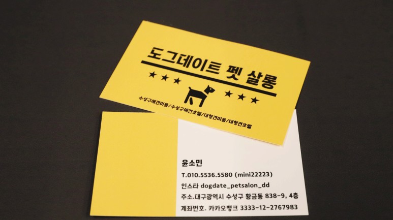 황금동 '도그 데이트' 가게 위쪽 굿! 대구 애견호텔 미용 13