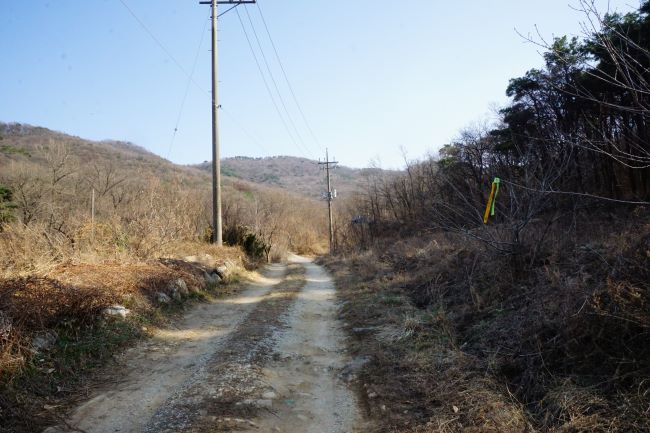 가운데로 들어가는 임도&#44; 좌 우 양쪽에 잡목&#44; 푸른 하늘&#44; 가운데 전봇대 2&#44; 뒤로는 야산&#44; 푸른 하늘&#44;