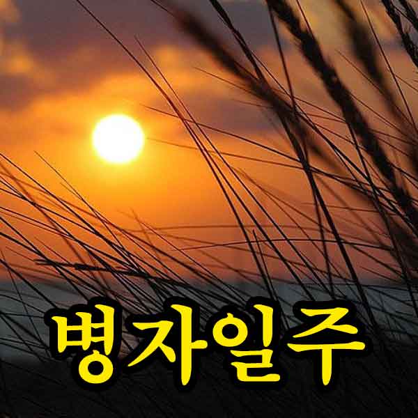 일주론 - 병자