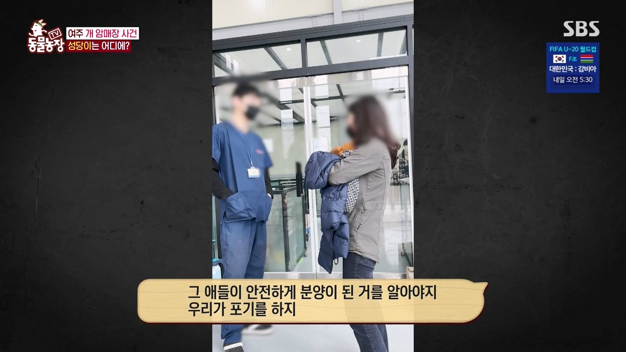 TV 동물농장.E1122.230529p-NEXT.mp4_20230528_170309.318.jpg