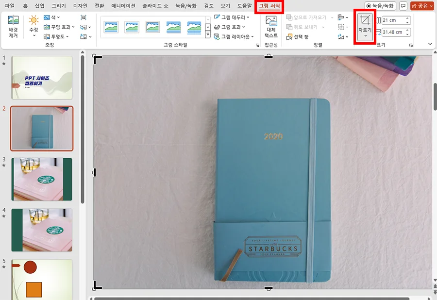 ppt에서 사진 자르기 하는 모습