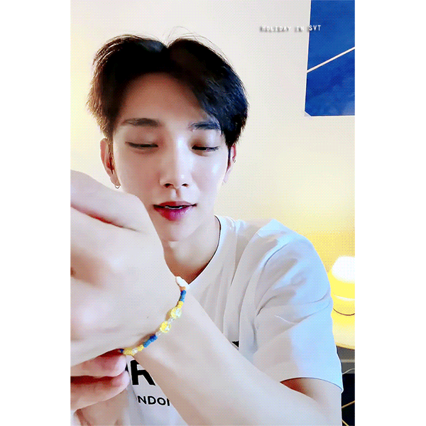 슈비즈 이미지