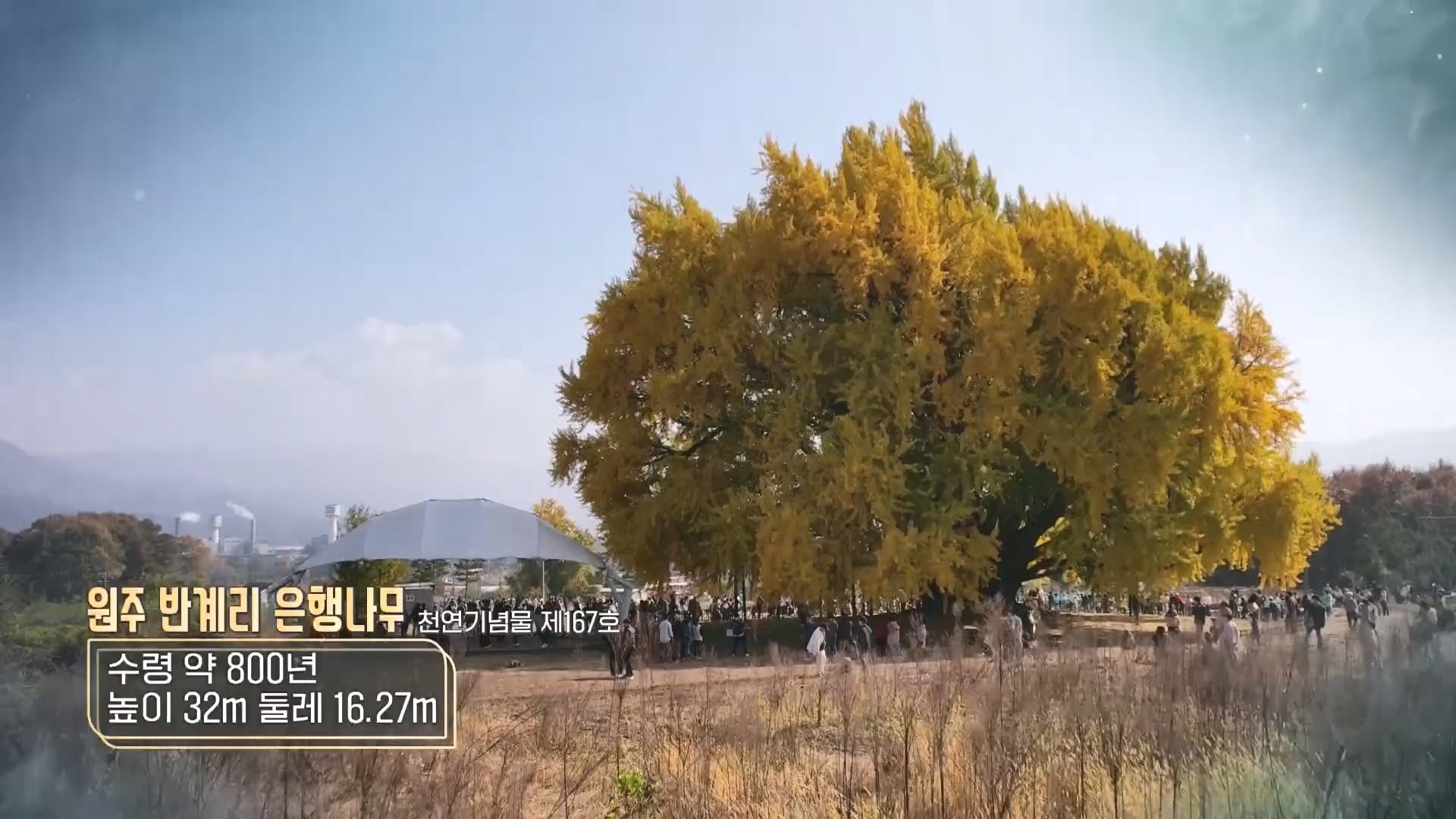 일요 특선 다큐멘터리.E327.231105p.H264-F1RST.mp4_20231105_165406.492.jpg