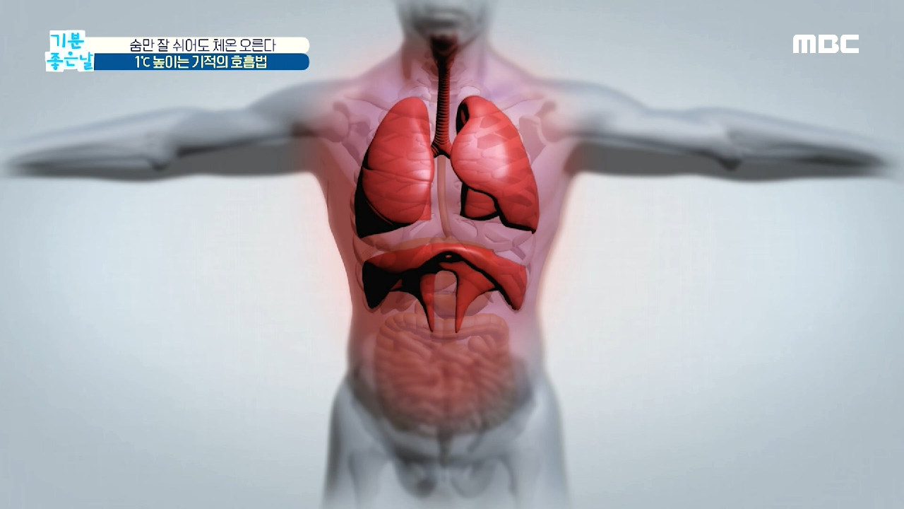  기분좋은날 살빠지는 기적호흡법 체온높이는 특급비법 #소금찜질 #심부온도 #저체온인체변화 #건강황금비책 #10분체온운동 #개구리운동 #쿠션돌리기운동 #다이어트장건강 #살빠지는 습관 #살..