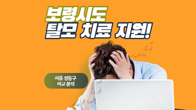  충남 보령시도 ‘탈모 치료비’ 지원 (서울 성동구와 비교)