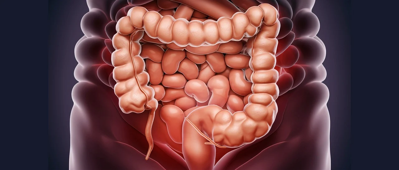 러닝을 하면 왜 기분이 좋아질까? 행복 호르몬과의 관계