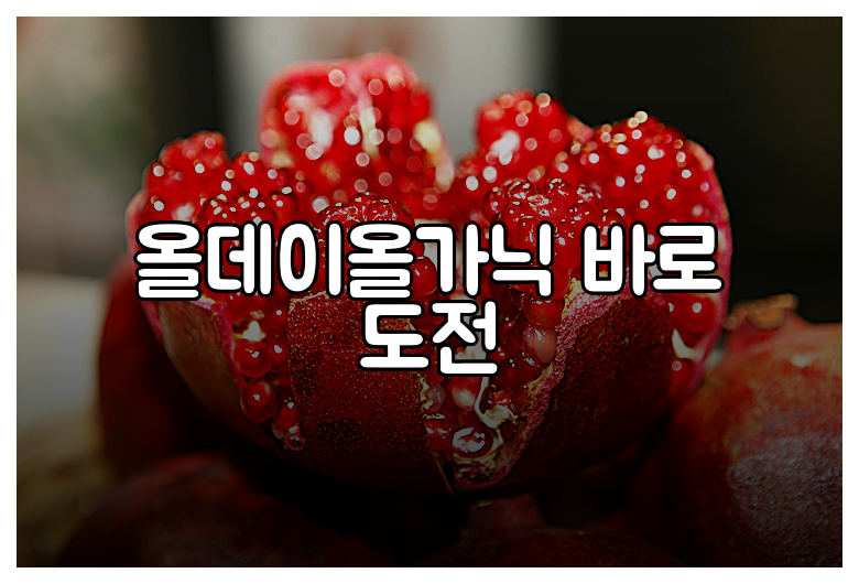 올데이올가닉 바로 도전