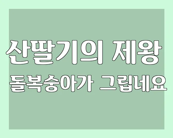 산딸기의 제왕 돌복숭아가 그립네요