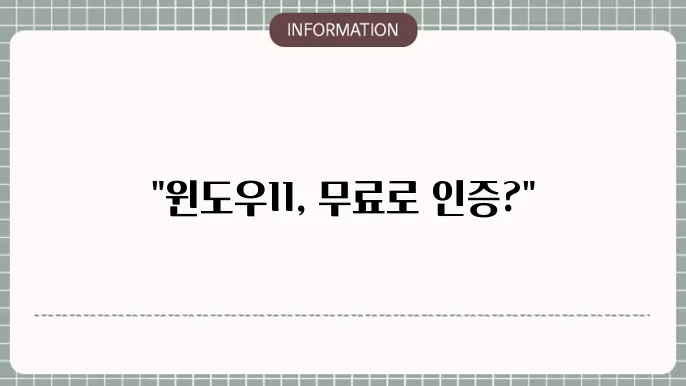 윈도우11 정품인증 무료