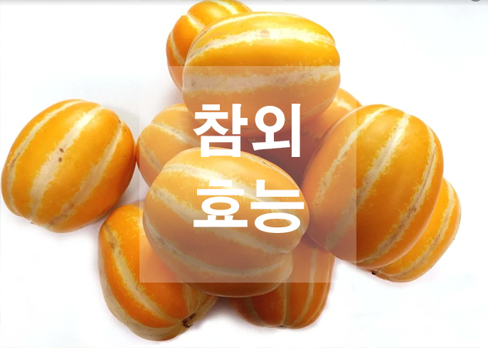  참외 효능