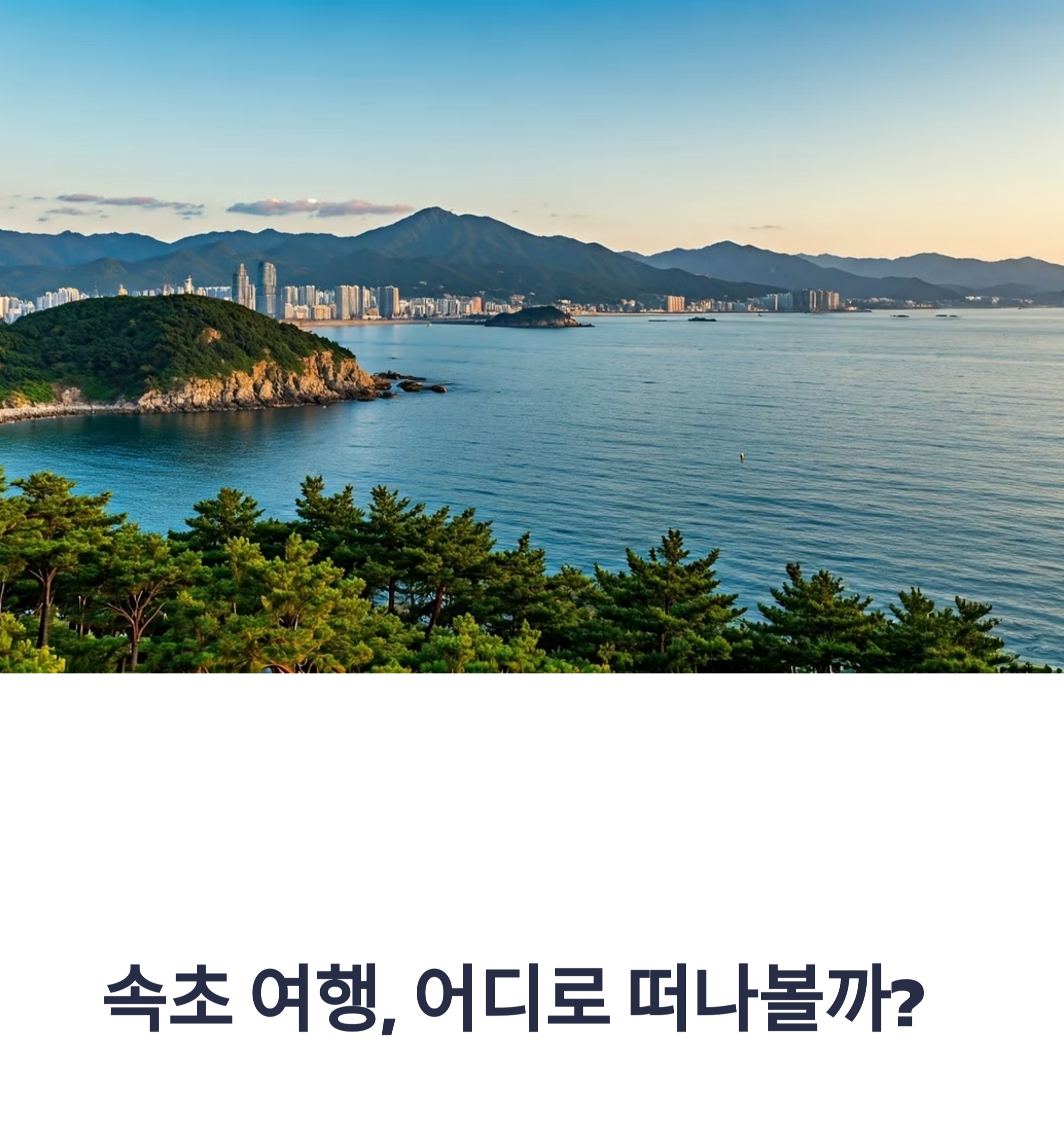 속초 핫플