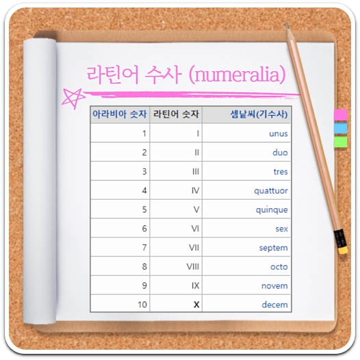아라비아-숫자-라틴어-표기
