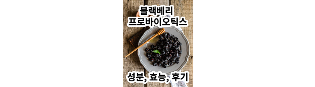  블랙베리 프로바이오틱스 성분, 효능 : 장이 좋아야 뇌도 건강하다?