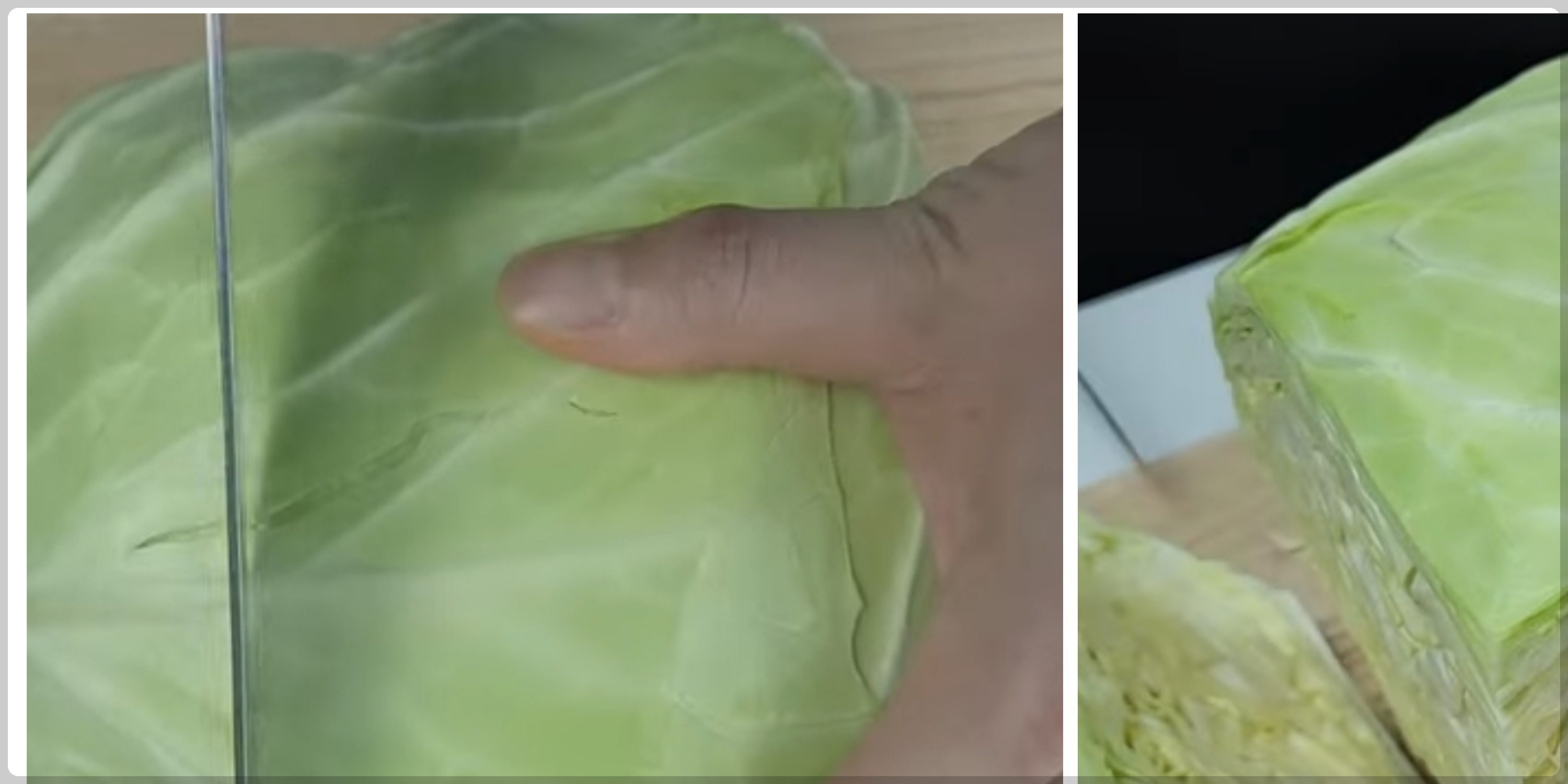 네모 자르기