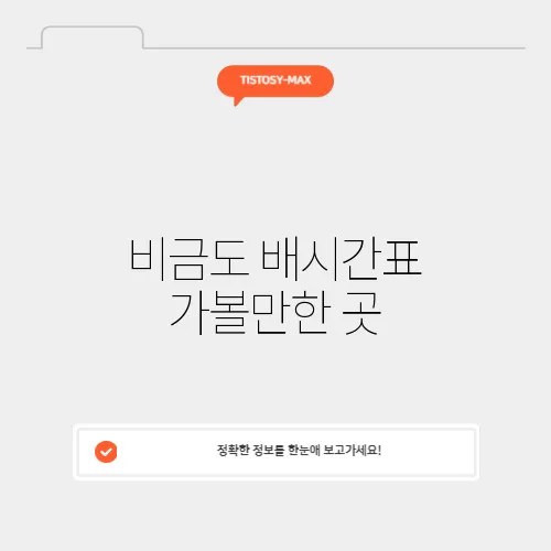 비금도 배시간표 가볼만한 곳