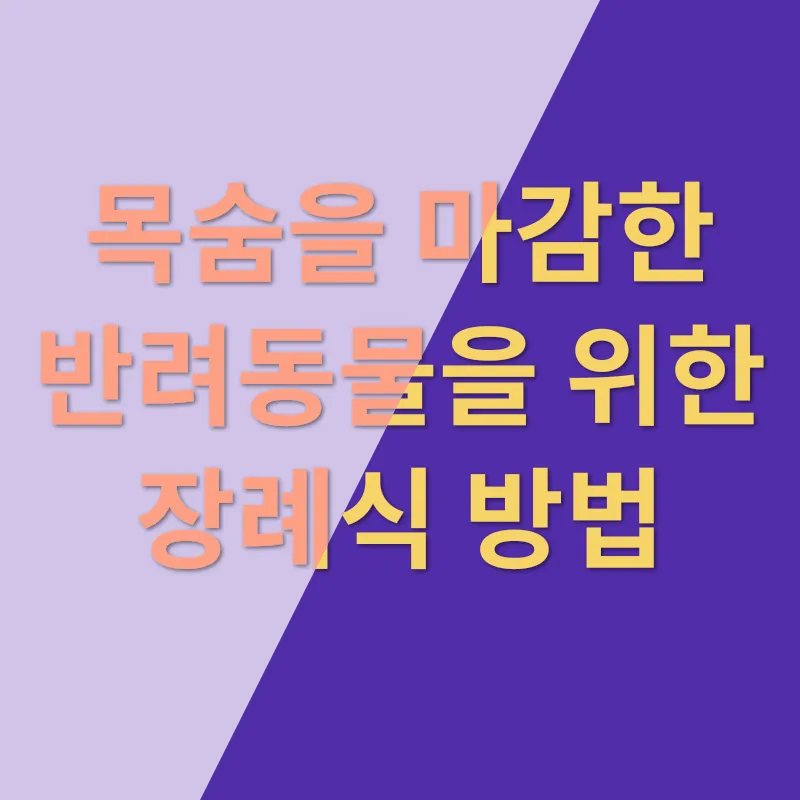 반려동물장례지도사_2