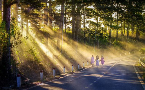 나무 사이로 빛이 들어오는 길을 걷고 있는 여성 세명 친구
