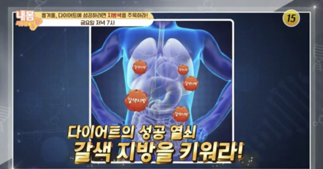  (내몸사용설명서)다이어트갈색지방늘리는방법 아사자주스 볼빨간견과 레시피 효능 백전무패다이어트비법 척추기립근스트레칭 다이어트최적기겨울330회1204