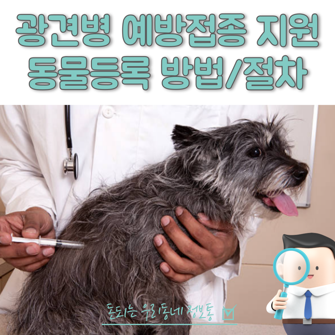  반려견 광견병 예방 접종 무료 및 동물 등록 방법