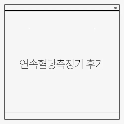 연속혈당측정기 후기