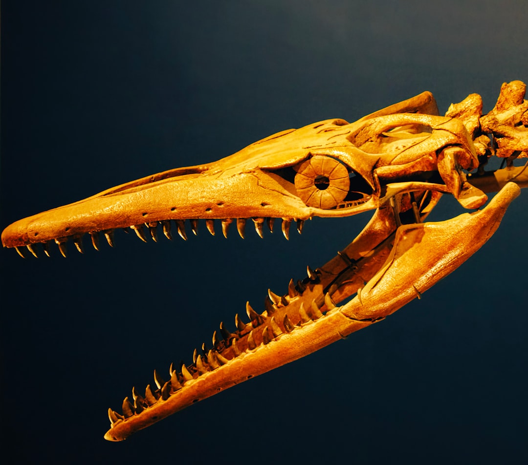 Dinosaur