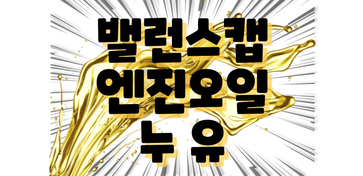 밸런스캡 엔진오일 누유