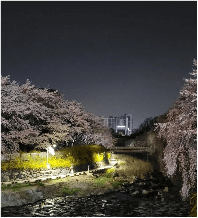 국내 여행지 추천