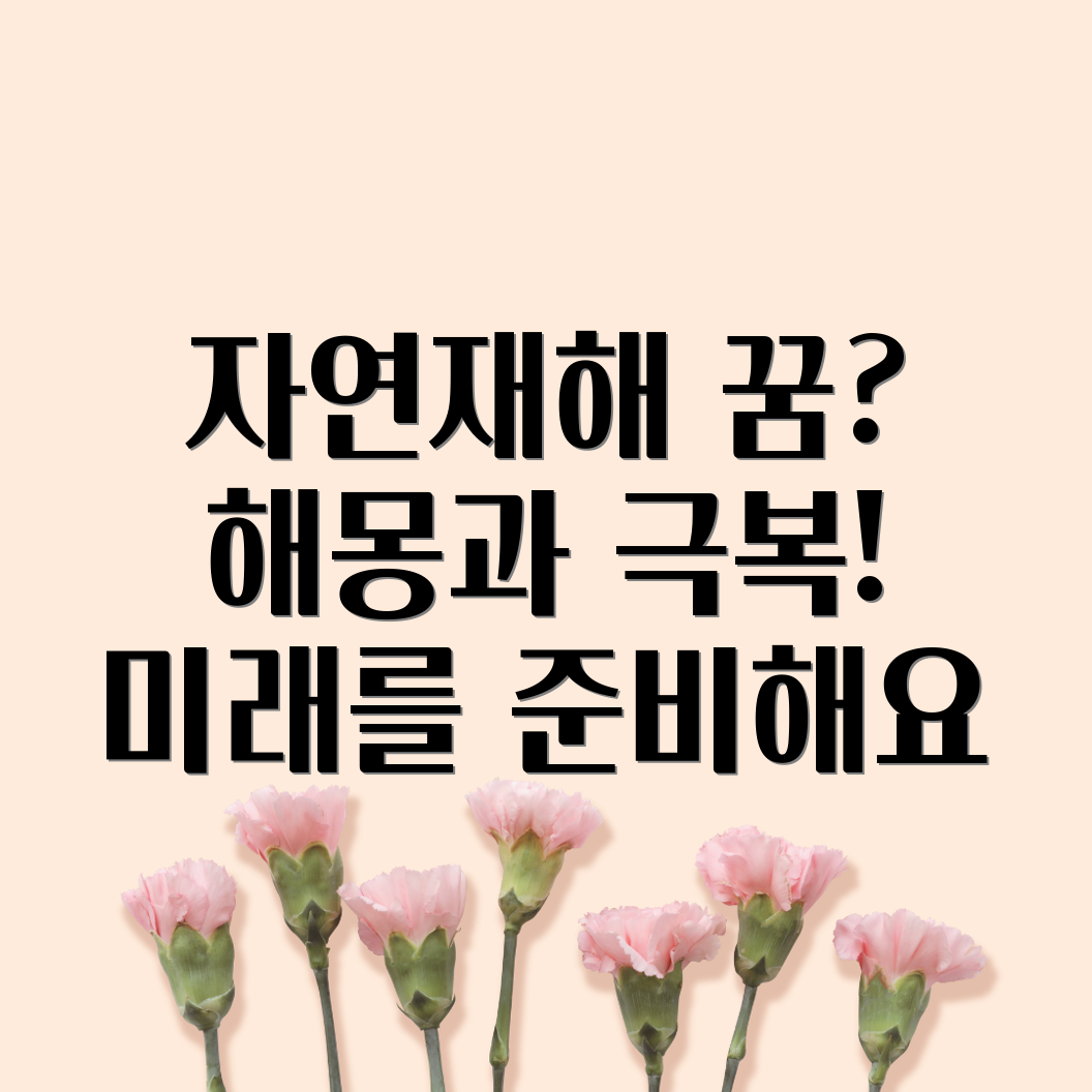 자연재해 꿈