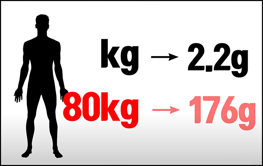 단백질 보충제 섭취할 것인가, 식물성단백질을 먹을 것인가? 단백질 보충제 섭취할 것인가, 식물성단백질을 먹을 것인가?