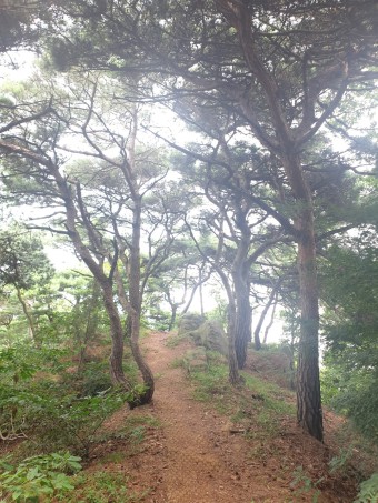 마국산 정상 이미지
