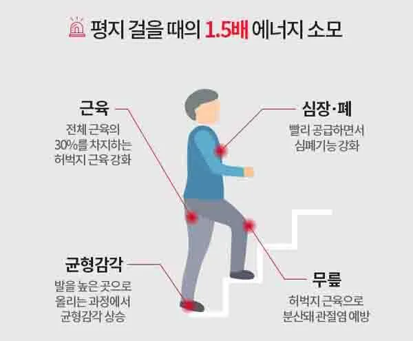 계단오르기 운동효과