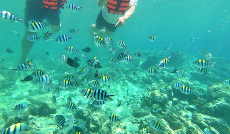 필리핀 세부 여행, 에메랄드빛 4