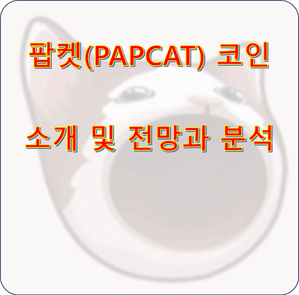 팝켓(POPCAT) 코인 소개 및 전망과 분석