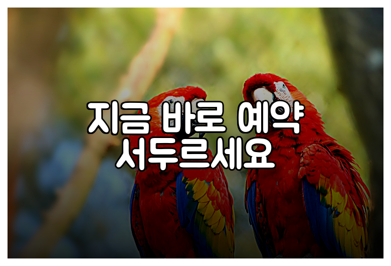 지금 바로 예약 서두르세요