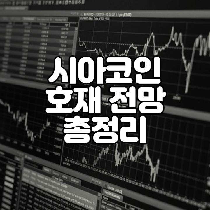 시아 썸